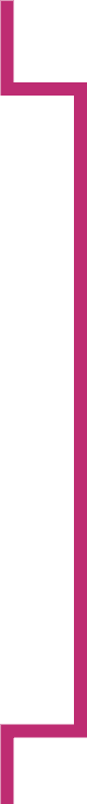 careers vertical line
